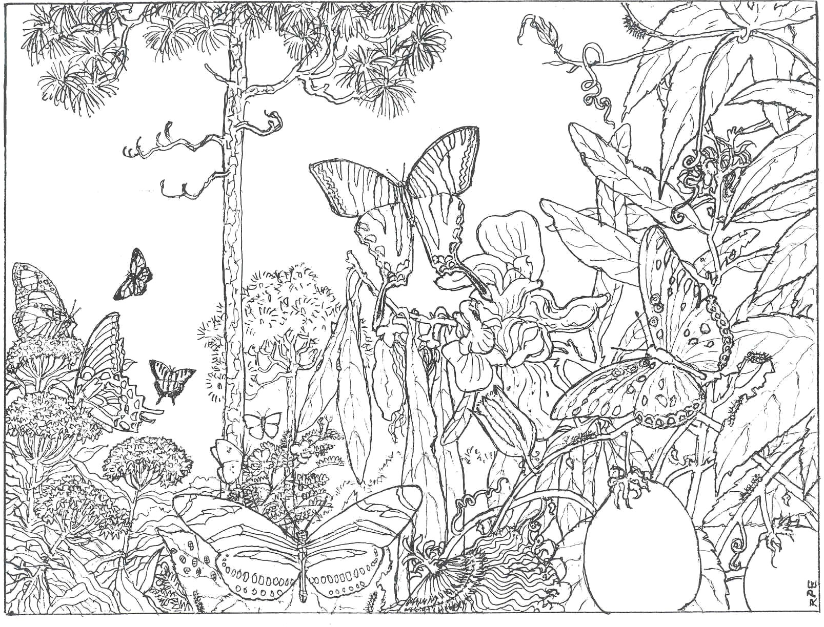 Coloring Ideas : Color Pictures Free Intricate Coloring Pages New - Free Printable Nature Coloring Pages For Adults