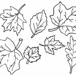 Coloring Ideas : Fall Leaves Coloringagesrintable Ideasage Weird   Free Printable Leaf Coloring Pages