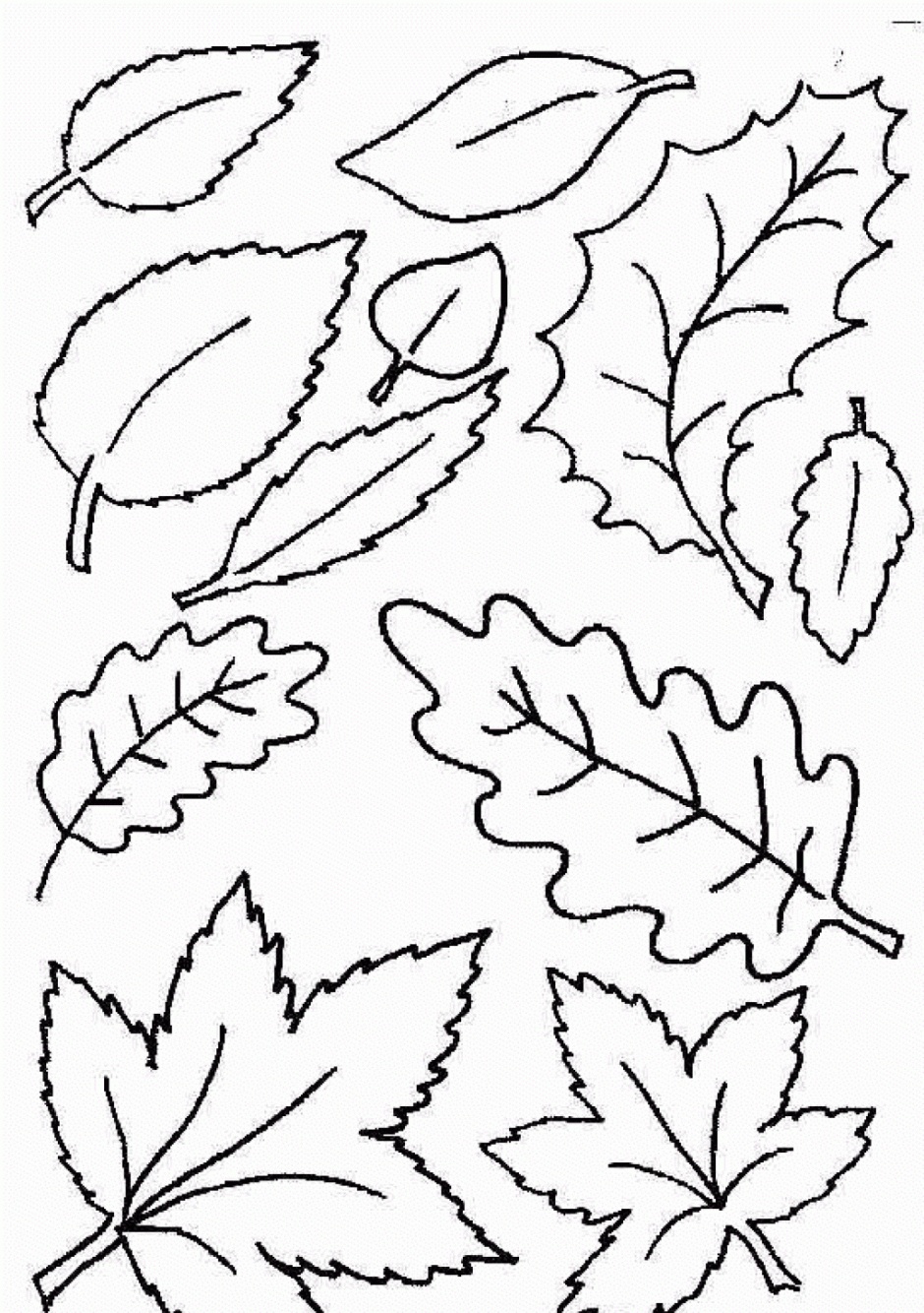 Coloring Ideas : Free Printable Leaf Coloring Pages Fall Leaves And - Free Printable Leaf Coloring Pages