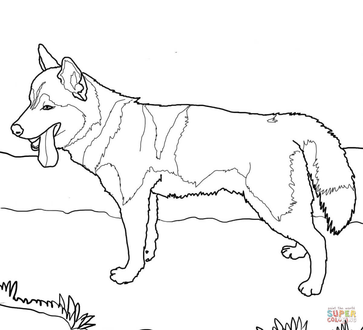 Coloring Pages Of Dogs - K 9 Police Dog Coloring Page Free Printable - Free Printable Dog Coloring Pages
