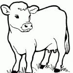 Cow Animals Coloring Pages For Kids ~ Printable Coloring Animal   Coloring Pages Of Cows Free Printable