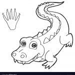 Crocodile Coloring Pages   Paw Print With Crocodile Coloring Page   Free Printable Pictures Of Crocodiles