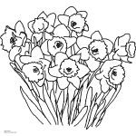 Daffodil Coloring Page. How To Draw A Tiger Lily Stepstep   Free Printable Pictures Of Daffodils