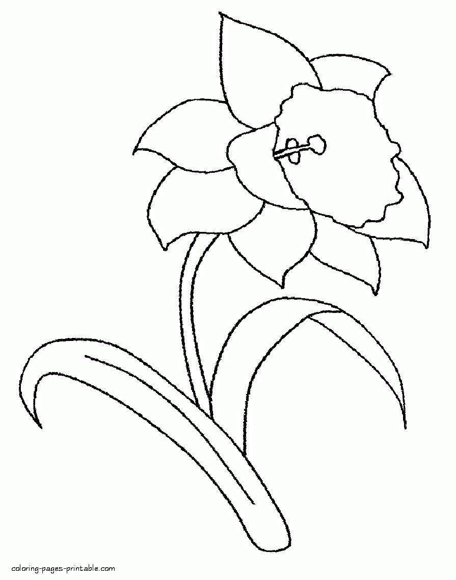 Daffodil Coloring Pages | Clipart Misc | Spring Coloring Pages - Free Printable Pictures Of Daffodils
