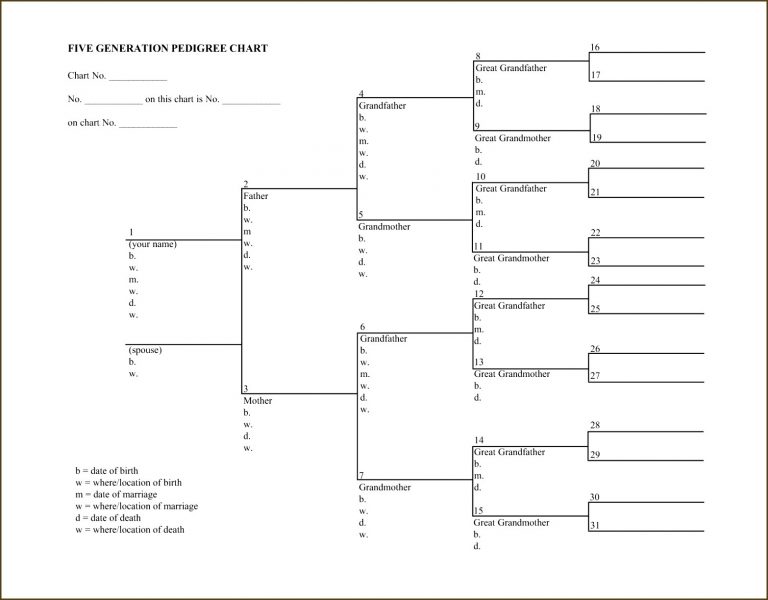 blank dog pedigree chart blank dog pedigree chart