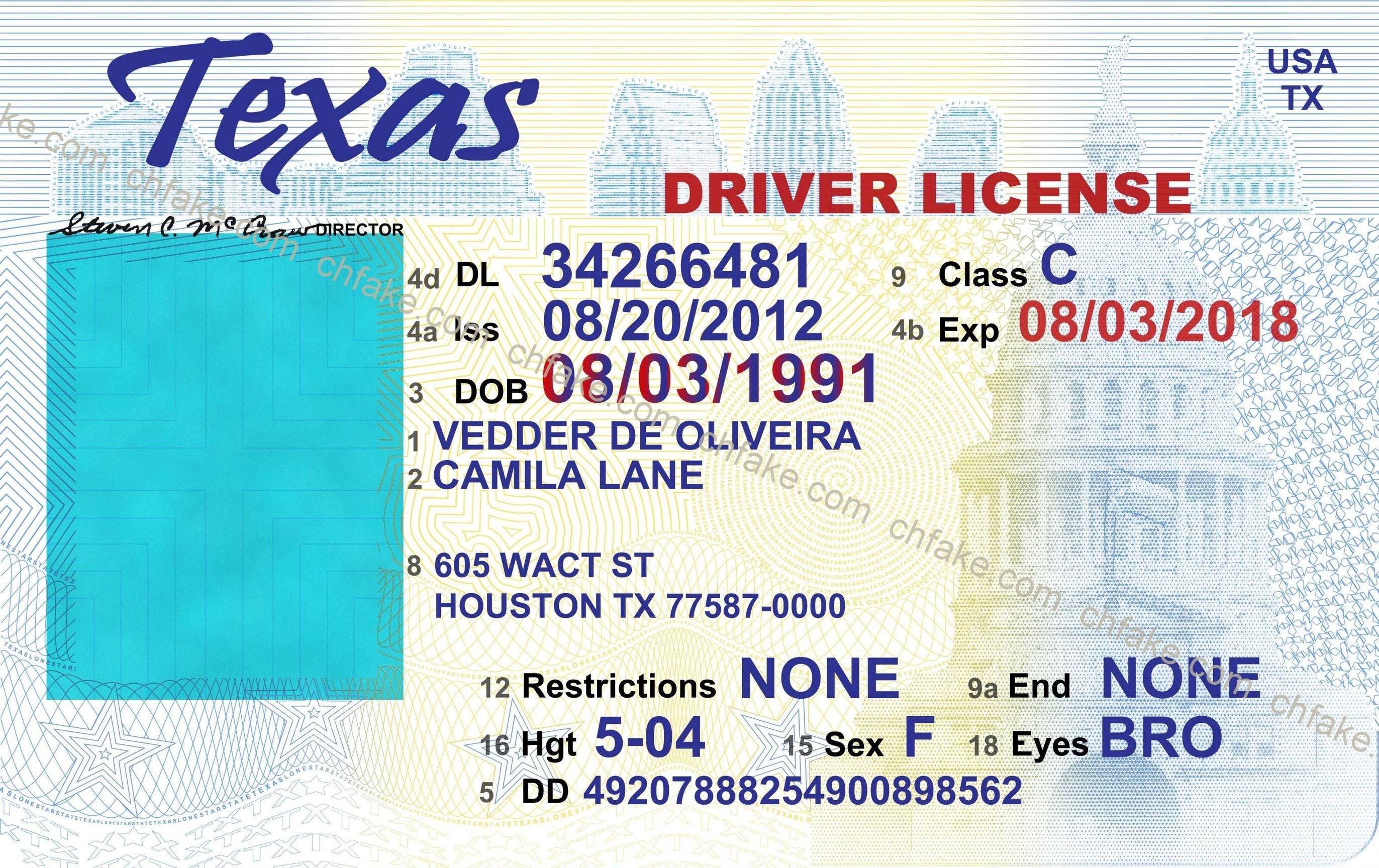 fake drivers license online maker