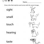 Five Senses Worksheet   Free Kindergarten Learning Worksheet For Kids   Free Printable Worksheets Kindergarten Five Senses