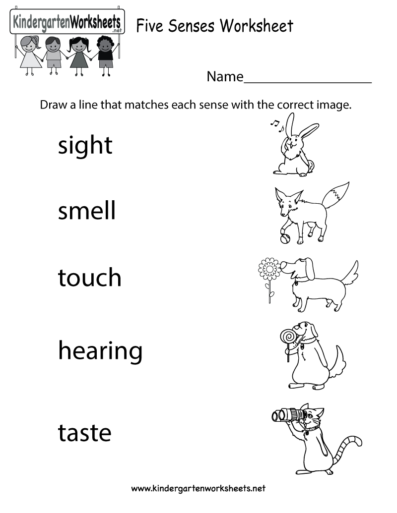  Free Printable Worksheets Kindergarten Five Senses Free Printable