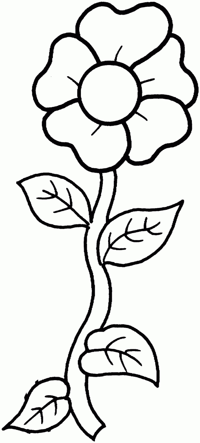 Flower Coloring Pages | To Do With My Boys | Printable Flower - Free Printable Flower Coloring Pages
