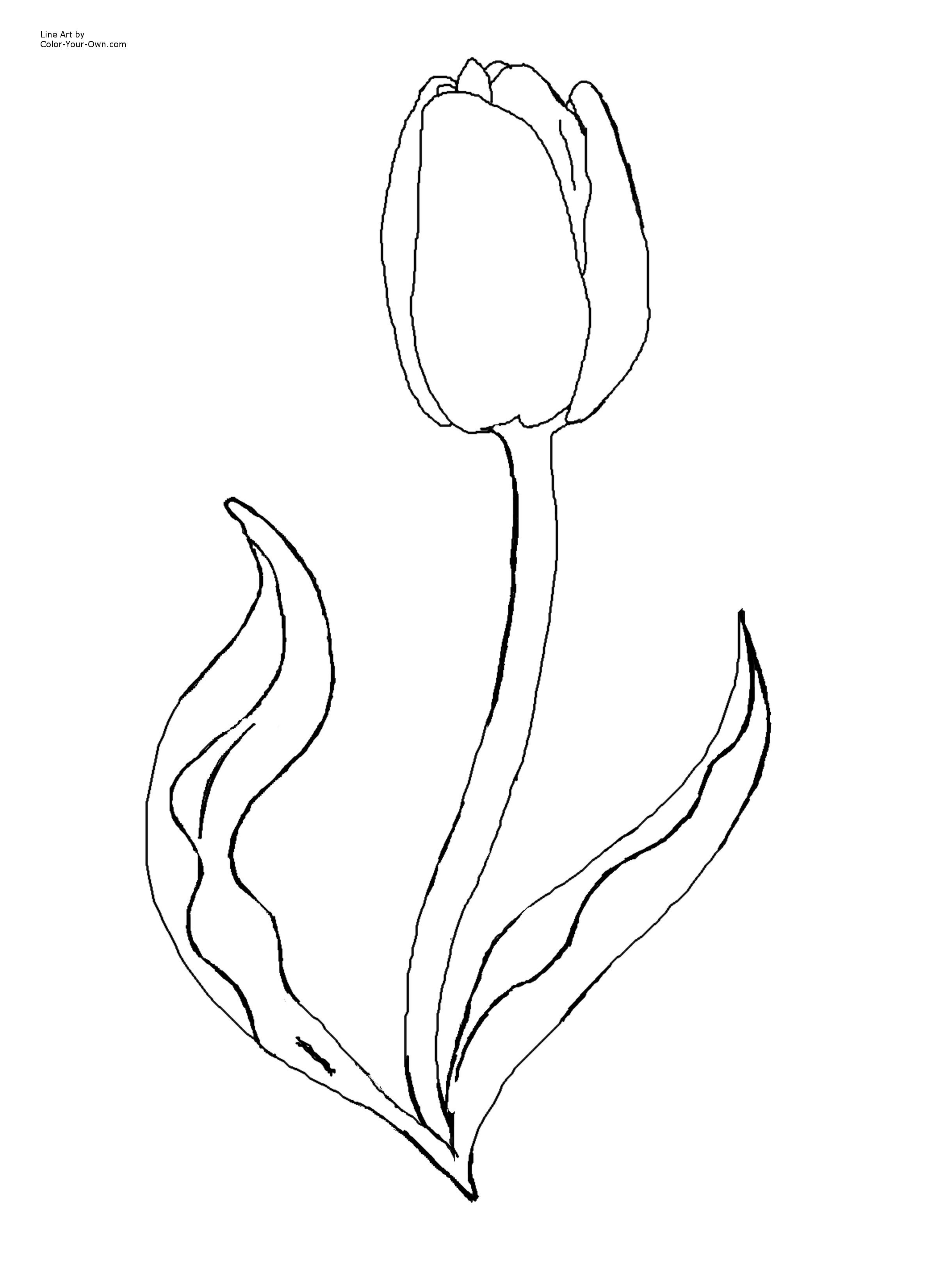 Flower Page Printable Coloring Sheets | Spring Flowers Coloring - Free Printable Tulip Coloring Pages