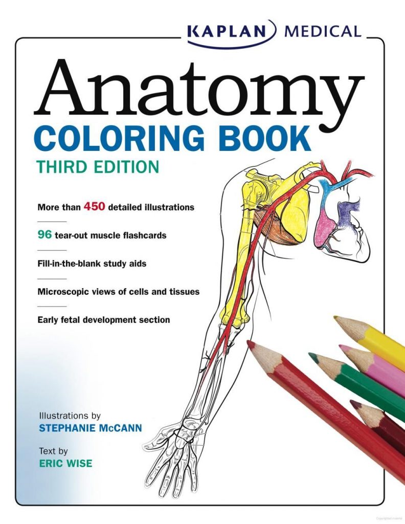 free-anatomy-coloring-book-on-google-college-anatomy-cc-cycle-3