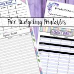 Free Budgeting Printables: Expense Tracker, Budget, & Goal Setting   Free Printable Daily Expense Tracker