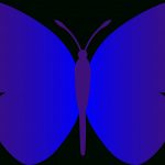 Free Butterfly Images Free, Download Free Clip Art, Free Clip Art On   Free Printable Butterfly Clipart