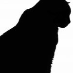 Free Cat Head Silhouette, Download Free Clip Art, Free Clip Art On   Free Printable Cat Silhouette