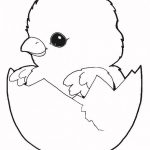 Free Coloring Pages For Chickens, Download Free Clip Art, Free Clip   Free Printable Easter Baby Chick Coloring Pages