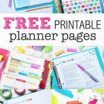 Free Coupons Without Having To Download Anything / Freebies Calendar Psd   Free Printable Coupons Without Downloading Or Registering