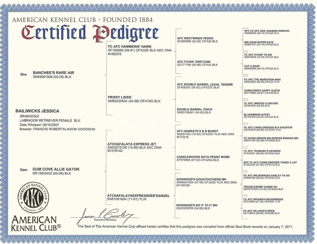 blank dog pedigree chart to print