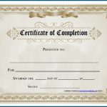Free Editable Printable Certificate Of Completion #253   Certificate Of Completion Template Free Printable