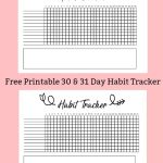 Free Printable A5 Habit Tracker   The Petite Planner   Habit Tracker Free Printable