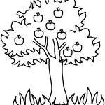 Free Printable Apple Coloring Pages For Kids | For The Kids | Apple   Tree Coloring Pages Free Printable