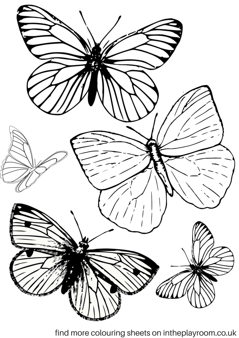 Free Printable Butterfly Colouring Pages | Bible Class | Butterfly - Free Printable Butterfly