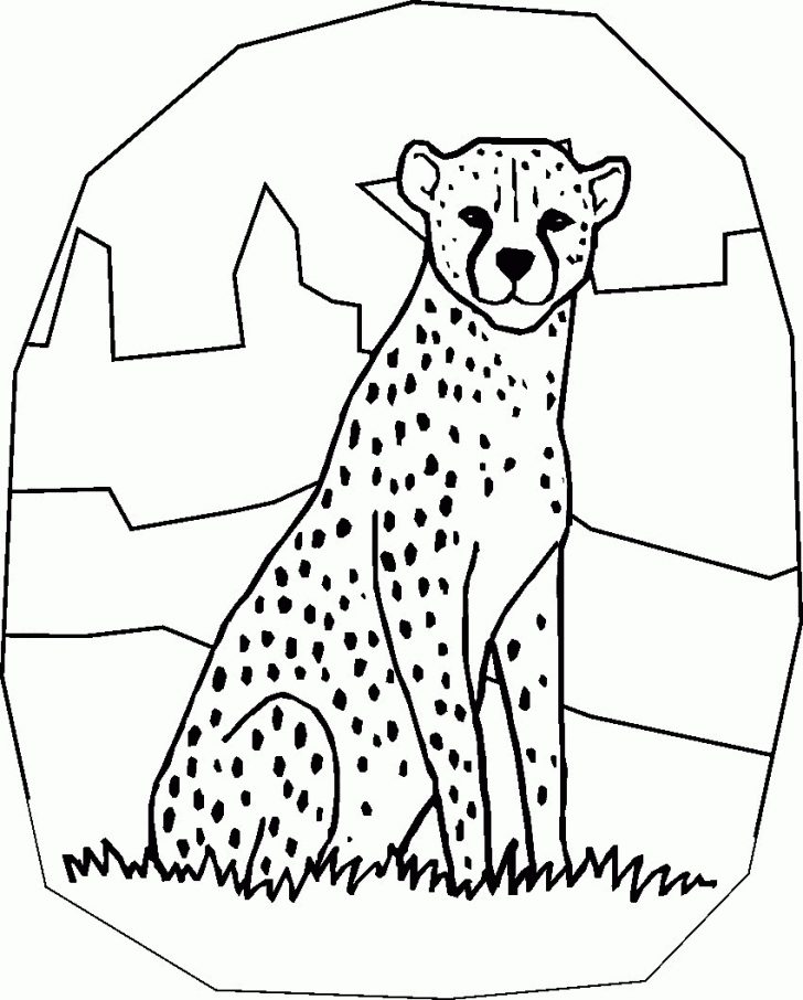 Free Printable Cheetah Pictures