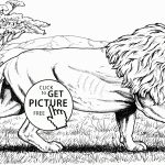 Free Printable Coloring Pages Aye Beautiful Lion Animal Page For   Free Printable Picture Of A Lion