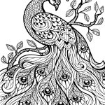 Free Printable Coloring Pages For Adults Only Image 36 Art   Free Printable Coloring Pages For Adults Only
