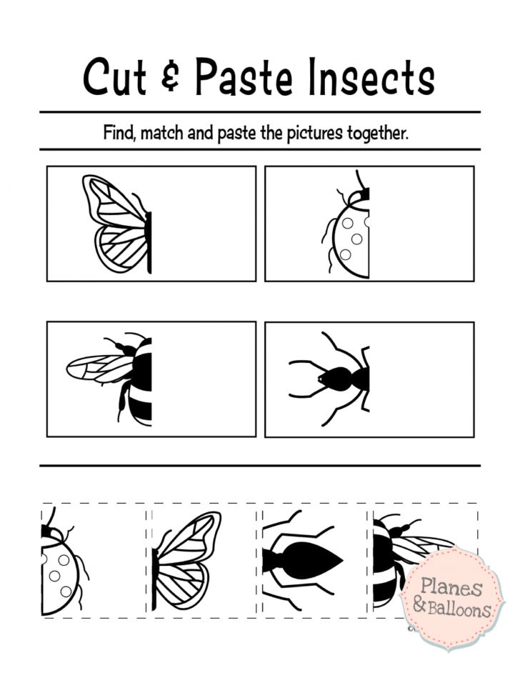 Free Printable Cut And Paste Worksheets For Preschool Kidstuff Free