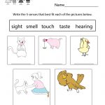 Free Printable Five Senses Worksheet For Kids   Free Printable Science Worksheets