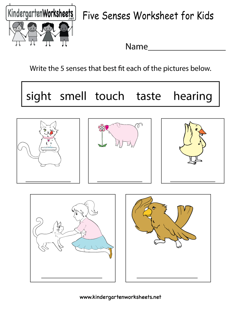 Free Printable Five Senses Worksheet For Kids - Free Printable Science Worksheets