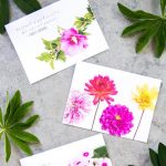 Free Printable Floral Notecards | ✂️diy Im Determined To Make   Free Printable Cards For All Occasions