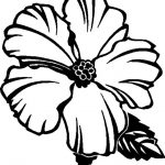 Free Printable Hibiscus Coloring Pages For Kids | Flower Coloring   Free Printable Hibiscus Coloring Pages