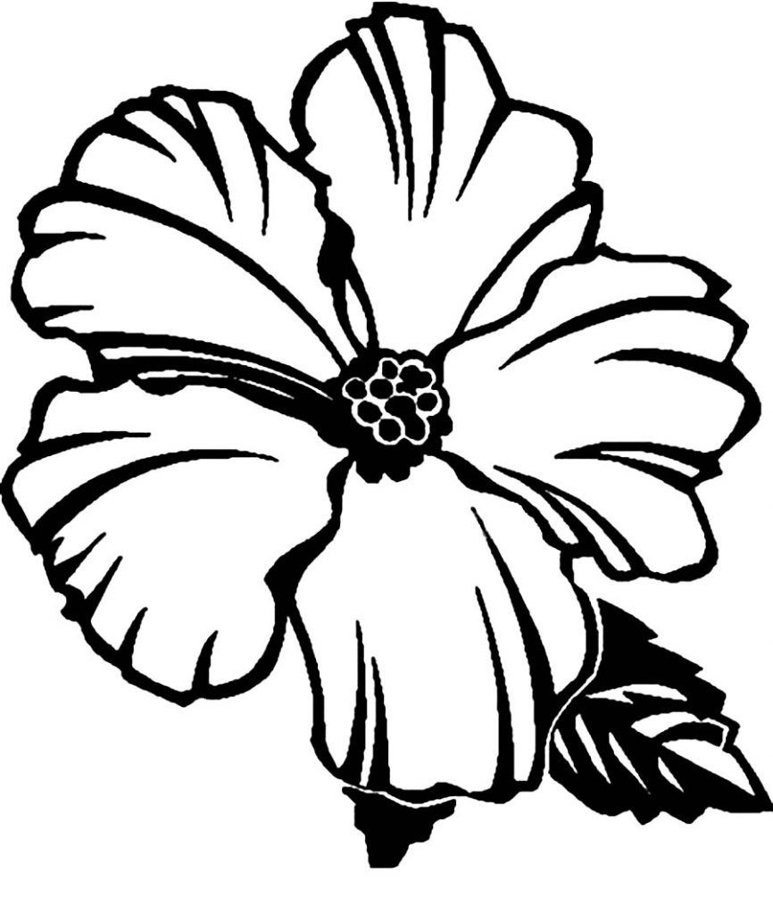 Free Printable Hibiscus Coloring Pages For Kids | Flower Coloring - Free Printable Hibiscus Coloring Pages