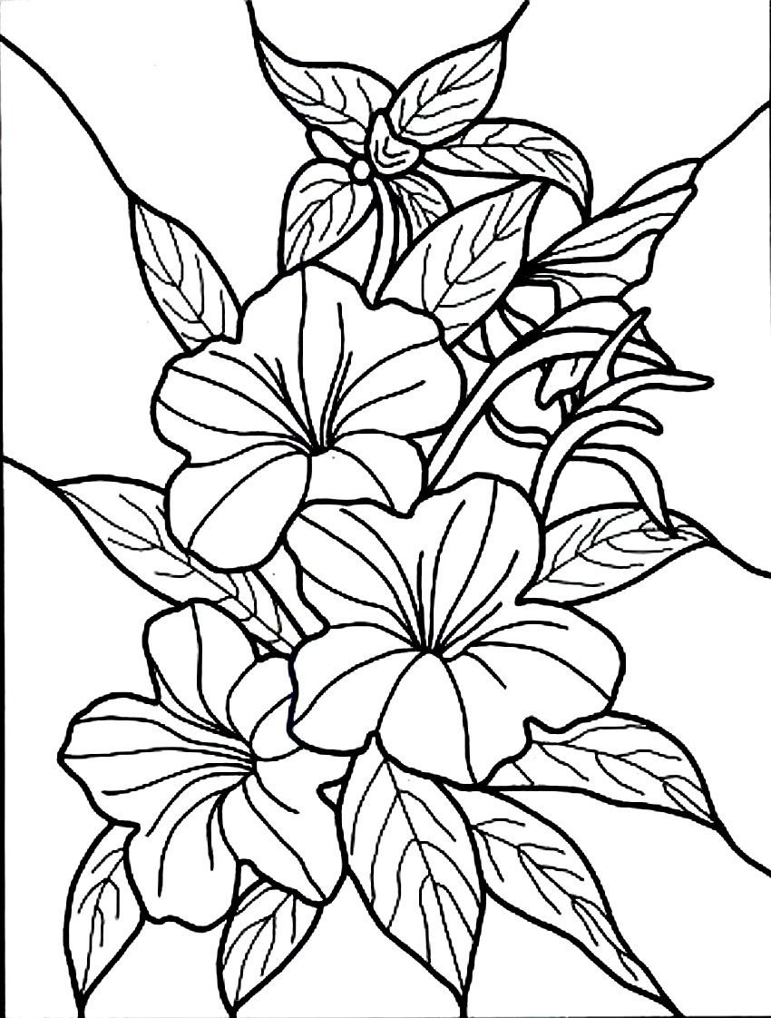 Free Printable Hibiscus Coloring Pages For Kids - Free Printable Hibiscus Coloring Pages