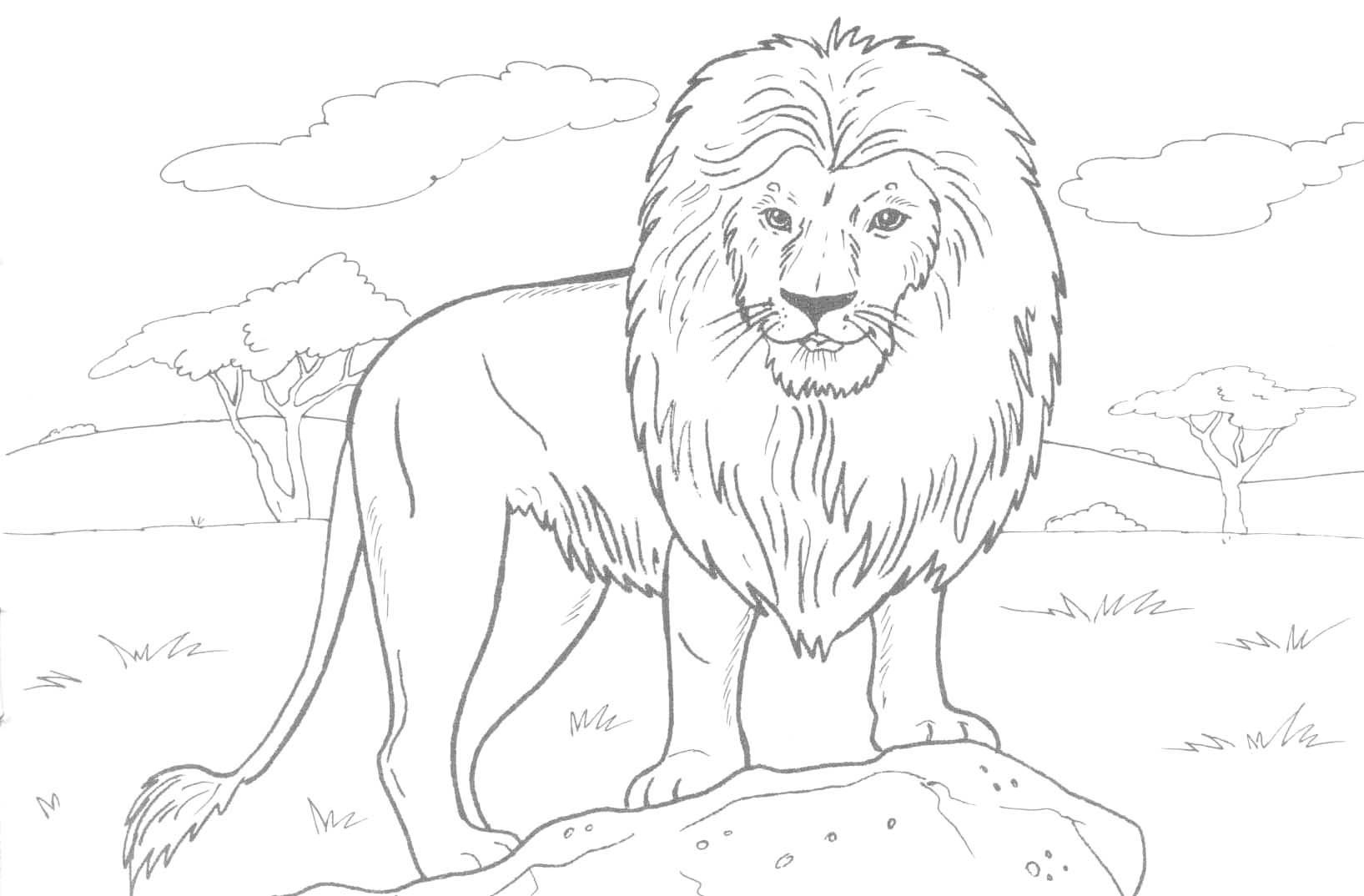 Free Printable Lion Coloring Pages For Kids - Free Printable Picture Of A Lion