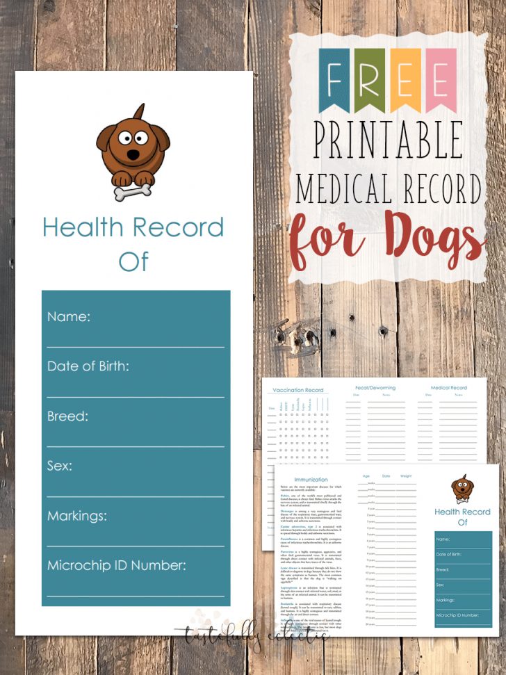 Free Printable Pet Health Record