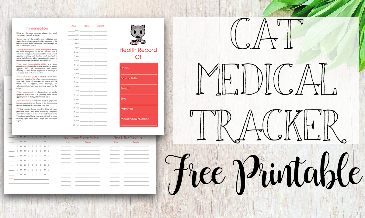 Free Printable Medical Record For Dogs - Tastefully Eclectic - Free Printable Pet Health Record