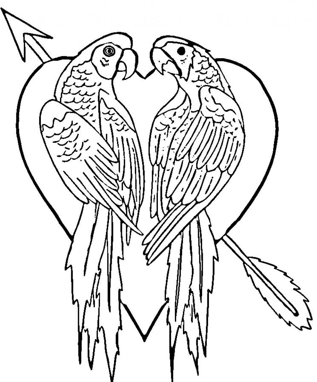 Free Printable Parrot Coloring Pages For Kids - Free Printable Parrot Coloring Pages