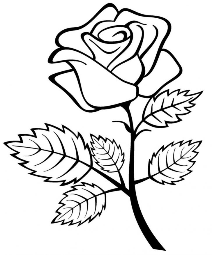 Free Printable Roses