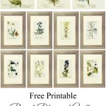 Free Printable Royal Blue And Yellow Botanical Art | Lg Limitless   Free Printable Artwork To Frame