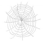 Free Printable Spider Web Coloring Pages For Kids   Spider Web Stencil Free Printable