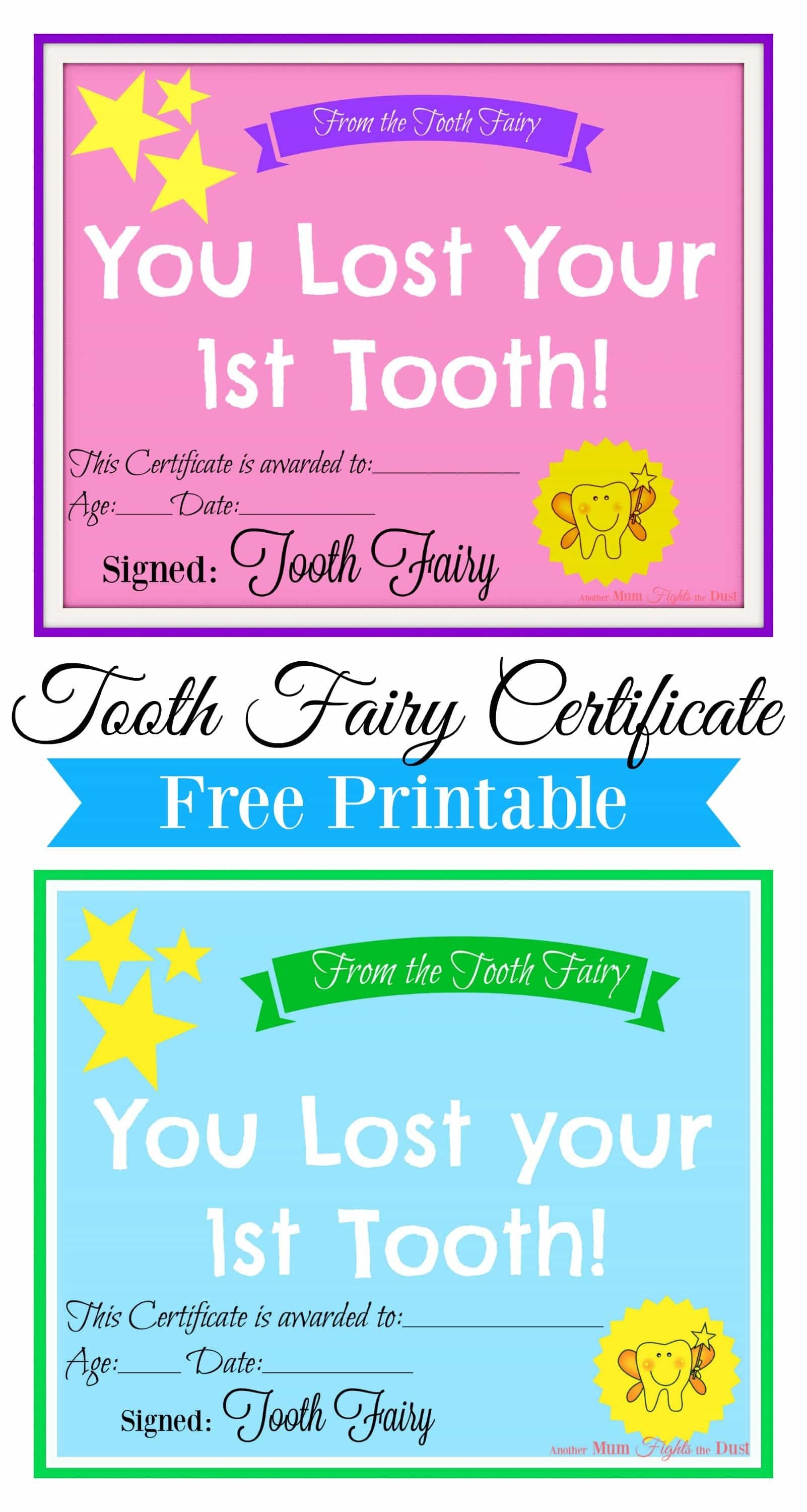 Free Printable Tooth Fairy Certificate | Tooth Fairy Ideas | Tooth - Free Printable Tooth Fairy Certificate