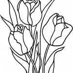 Free Printable Tulip Coloring Pages For Kids   Free Printable Tulip Coloring Pages