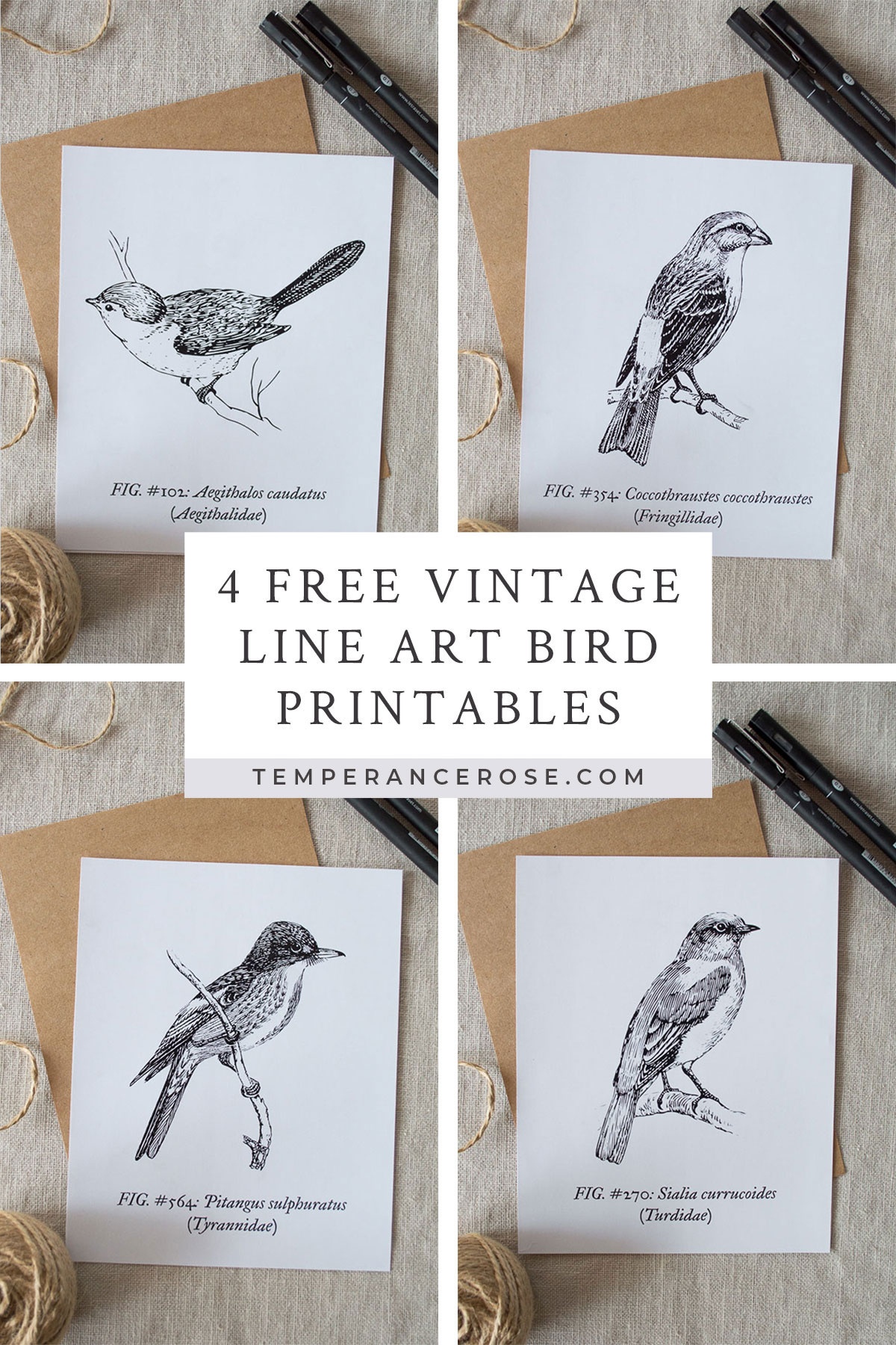 free-printable-images-of-birds-free-printable