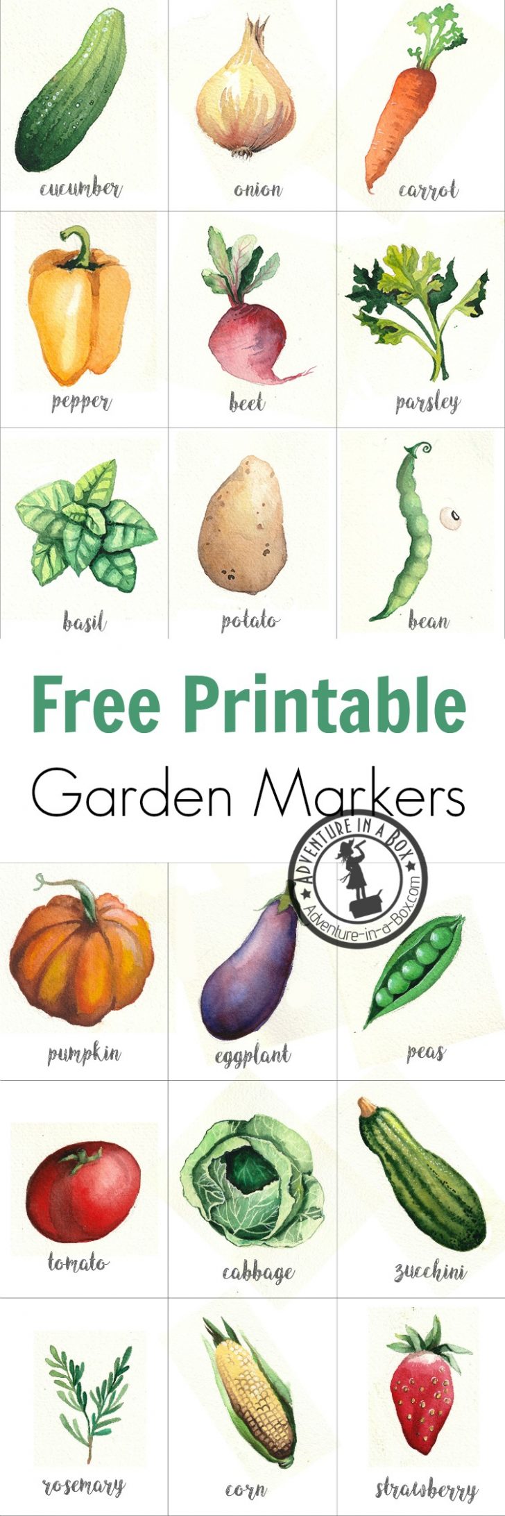 Free Printable Plant Labels