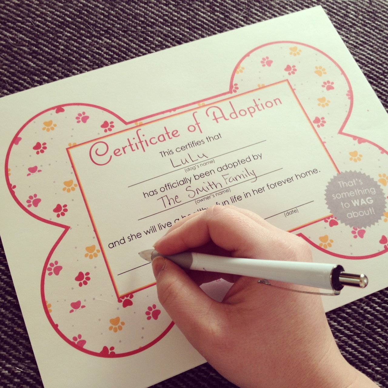 Animal Birth Certificate Printable