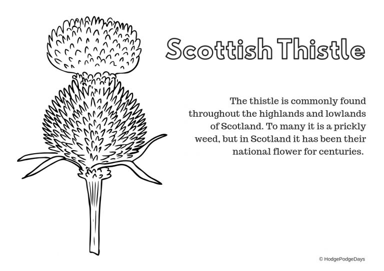 free-printables-learning-about-scotland-hodgepodgedays-free