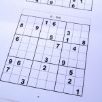 Free Sudoku Puzzles – Free Sudoku Puzzles From Easy To Evil Level   Free Printable Sudoku Books