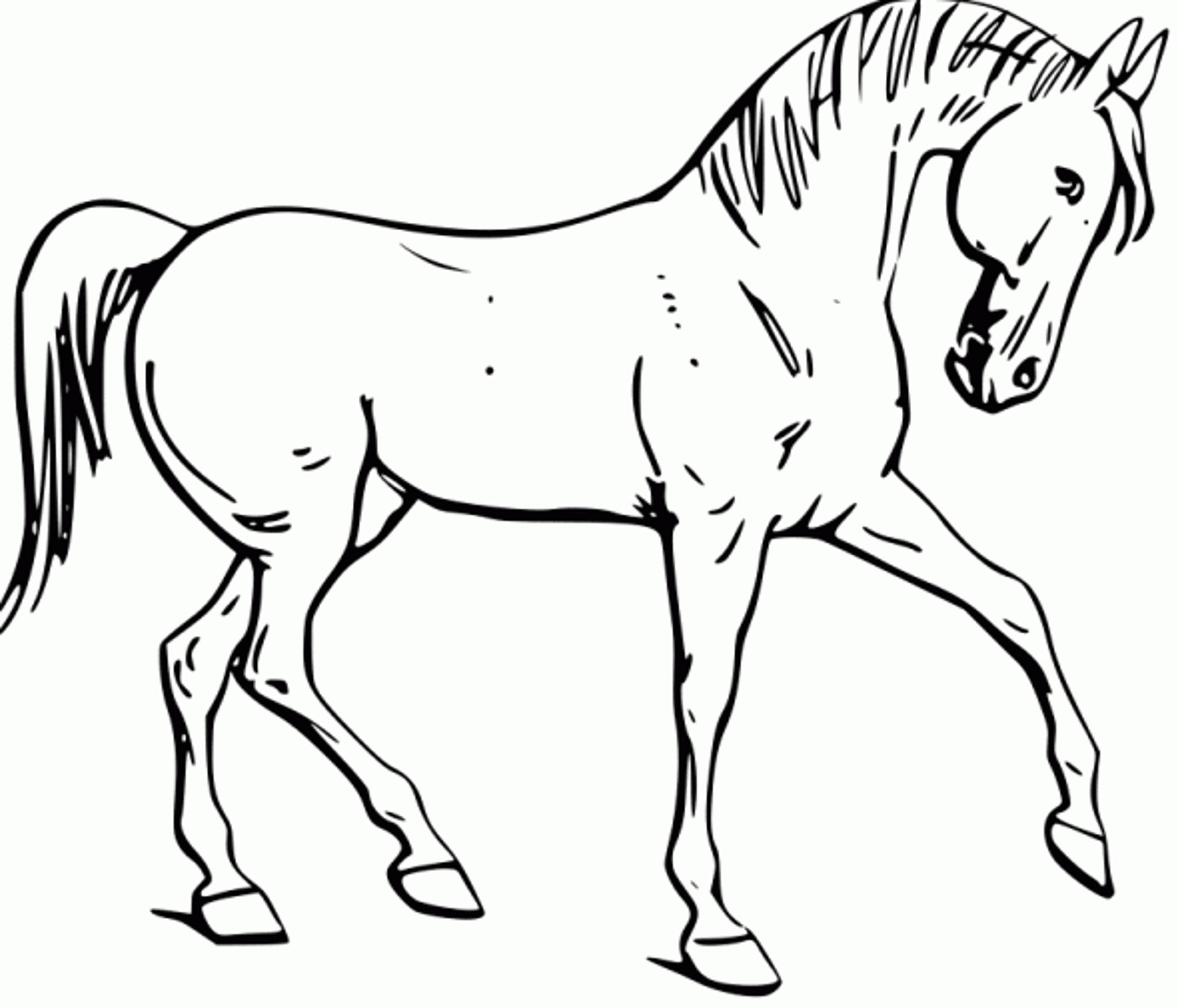 Fun Horse Coloring Pages For Your Kids Printable - Free Printable Horse Coloring Pages
